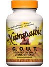 Gout Nutritional Supplements